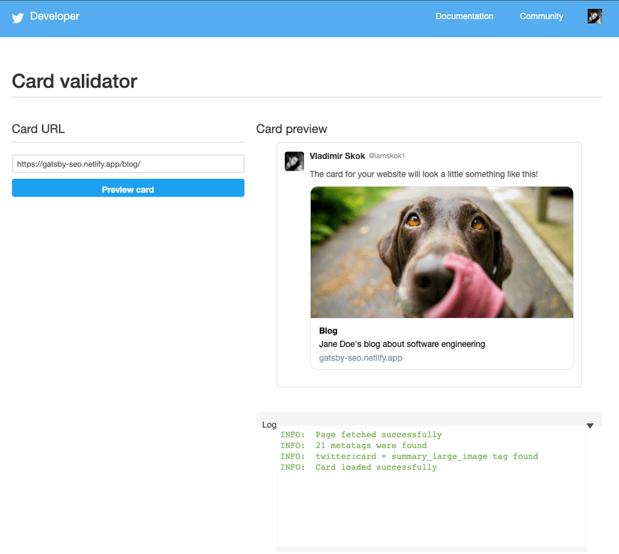 Screenshot of Twitter Card Validator tool
