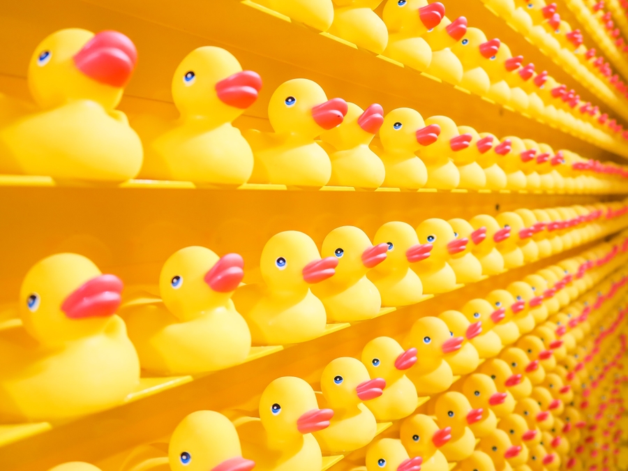 Many shelves of yellow rubber ducks
